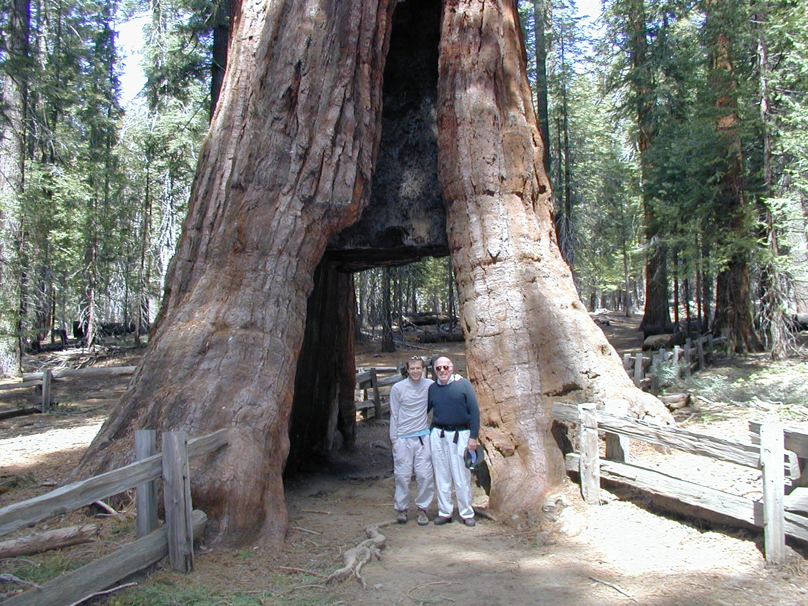 John and Dad walking through a tree.