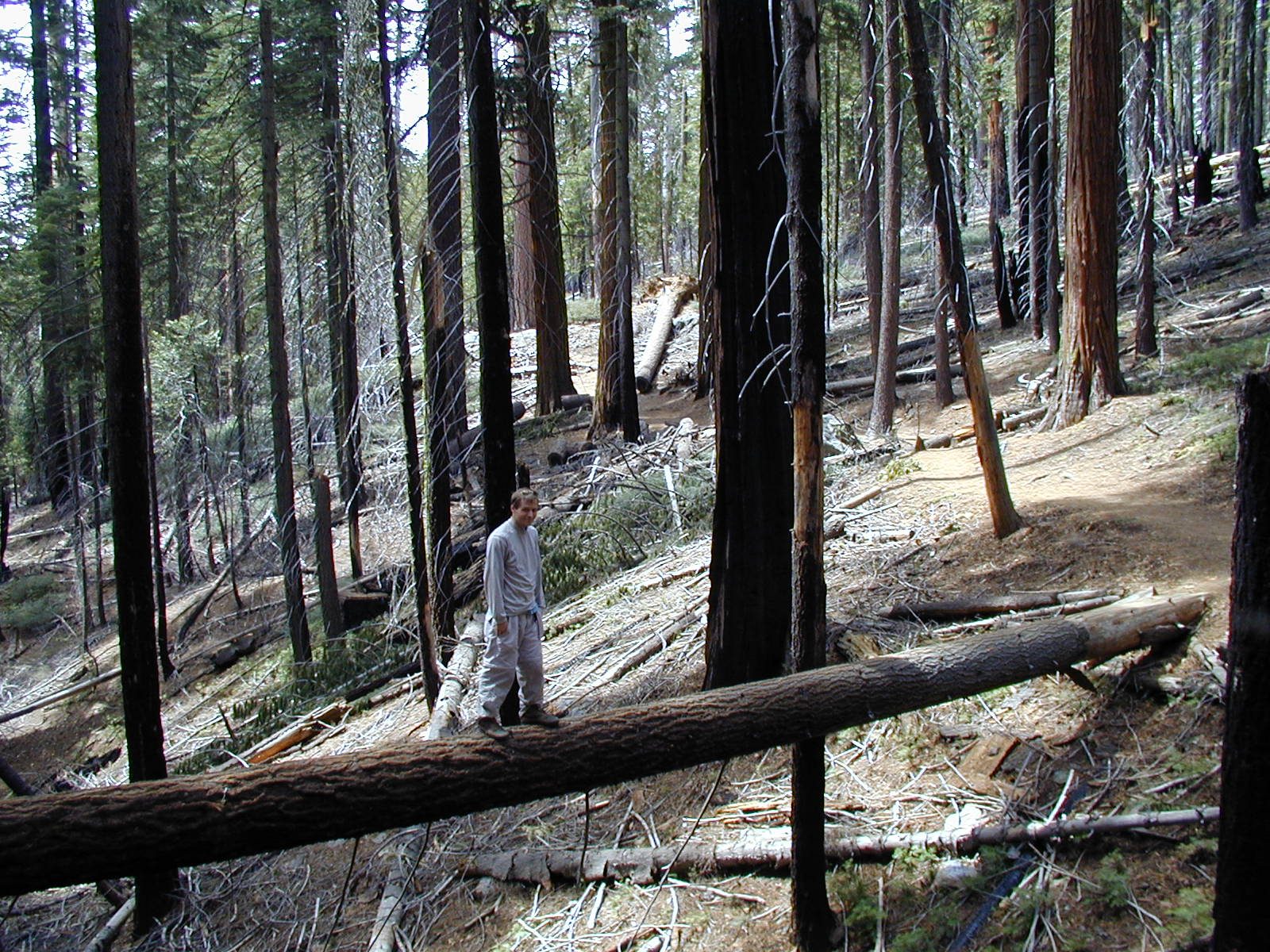 John finds a short cut.