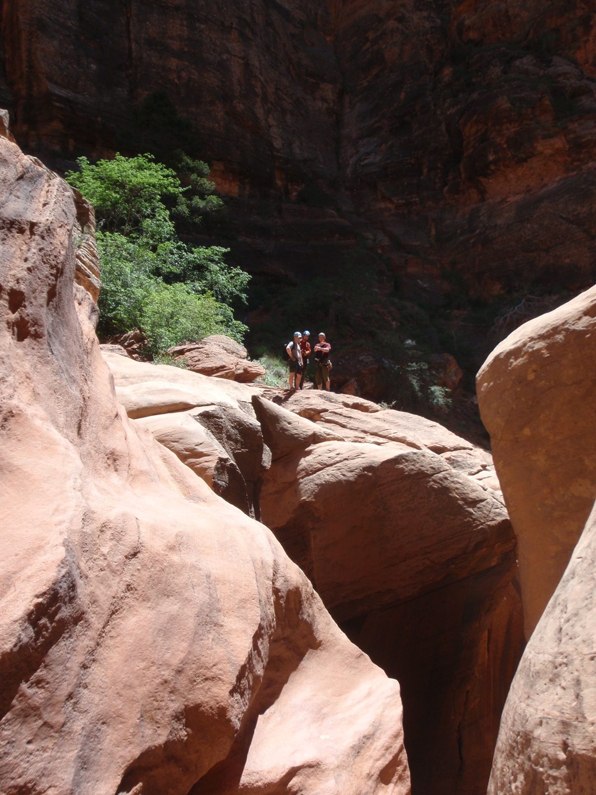Mike, Joel, and Andy look on as the dunderheads attempt their final rappel down the 130 foot...