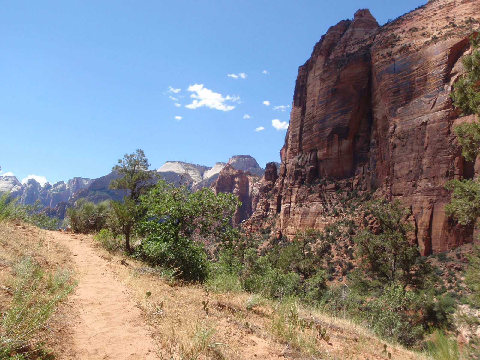 Our hike out from Pine Creek back to the east rim road where we left a car parked.