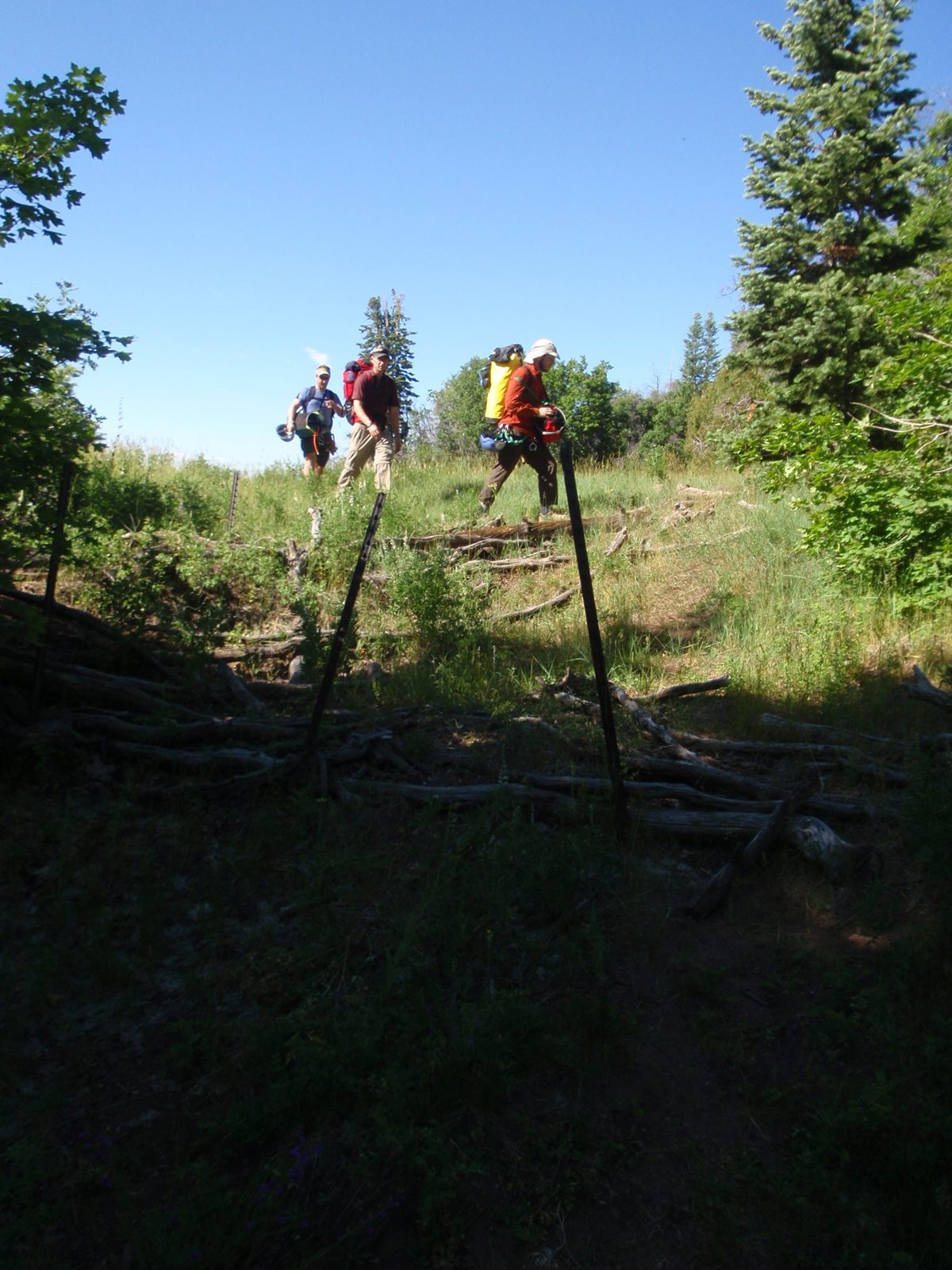 Joel looks for a faint trail on the way to Kolob.