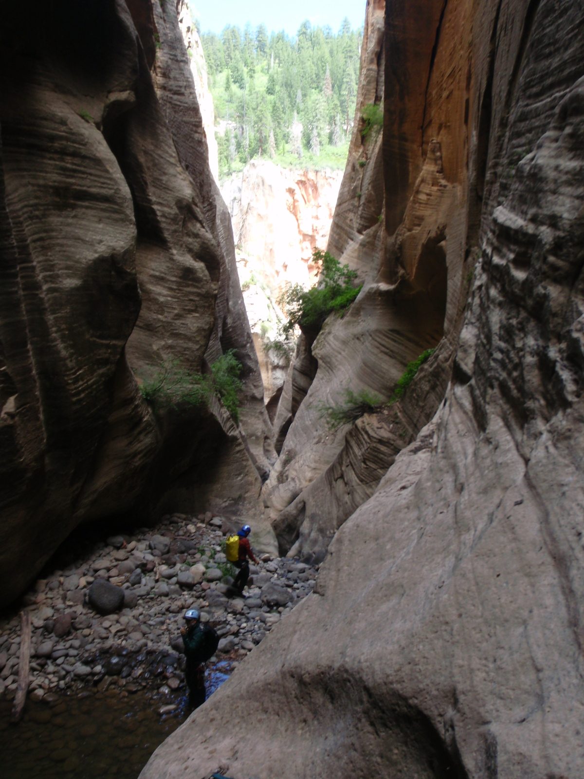 Mike stands on shore while Joel hunts for the next rappel.  Sadly the narrows of Kolob Canyon...