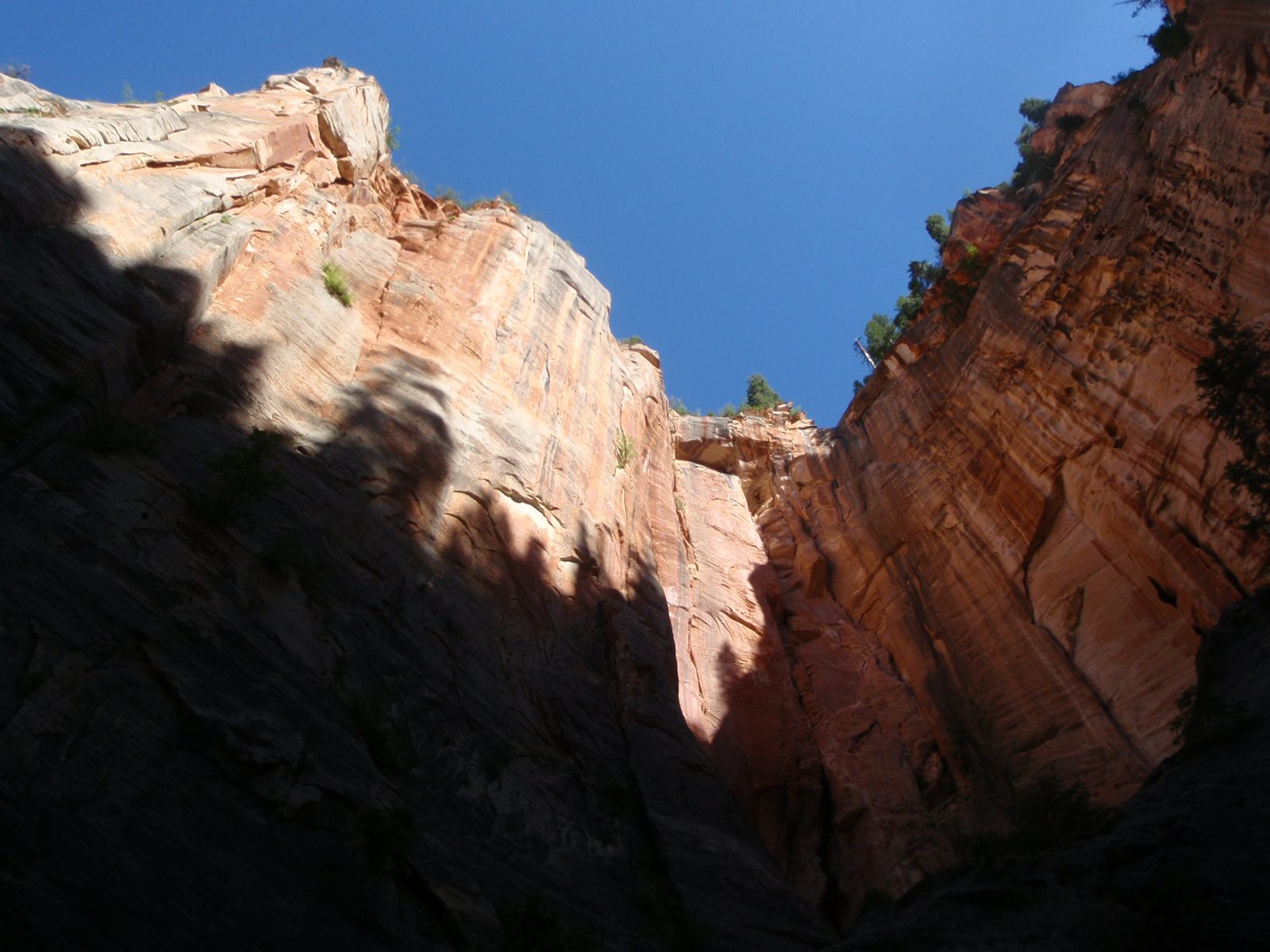 Setting sun on a beautiful cliff band in lower Kolob Creek.