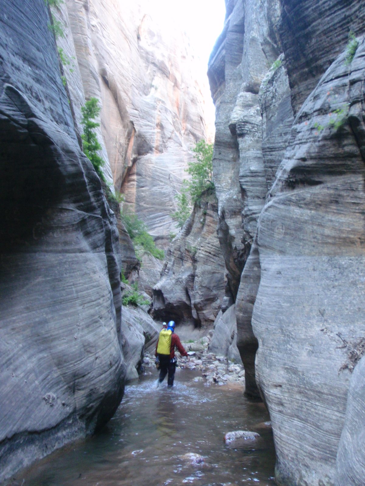 Joel wades through a particularly beautiful section of narrows.