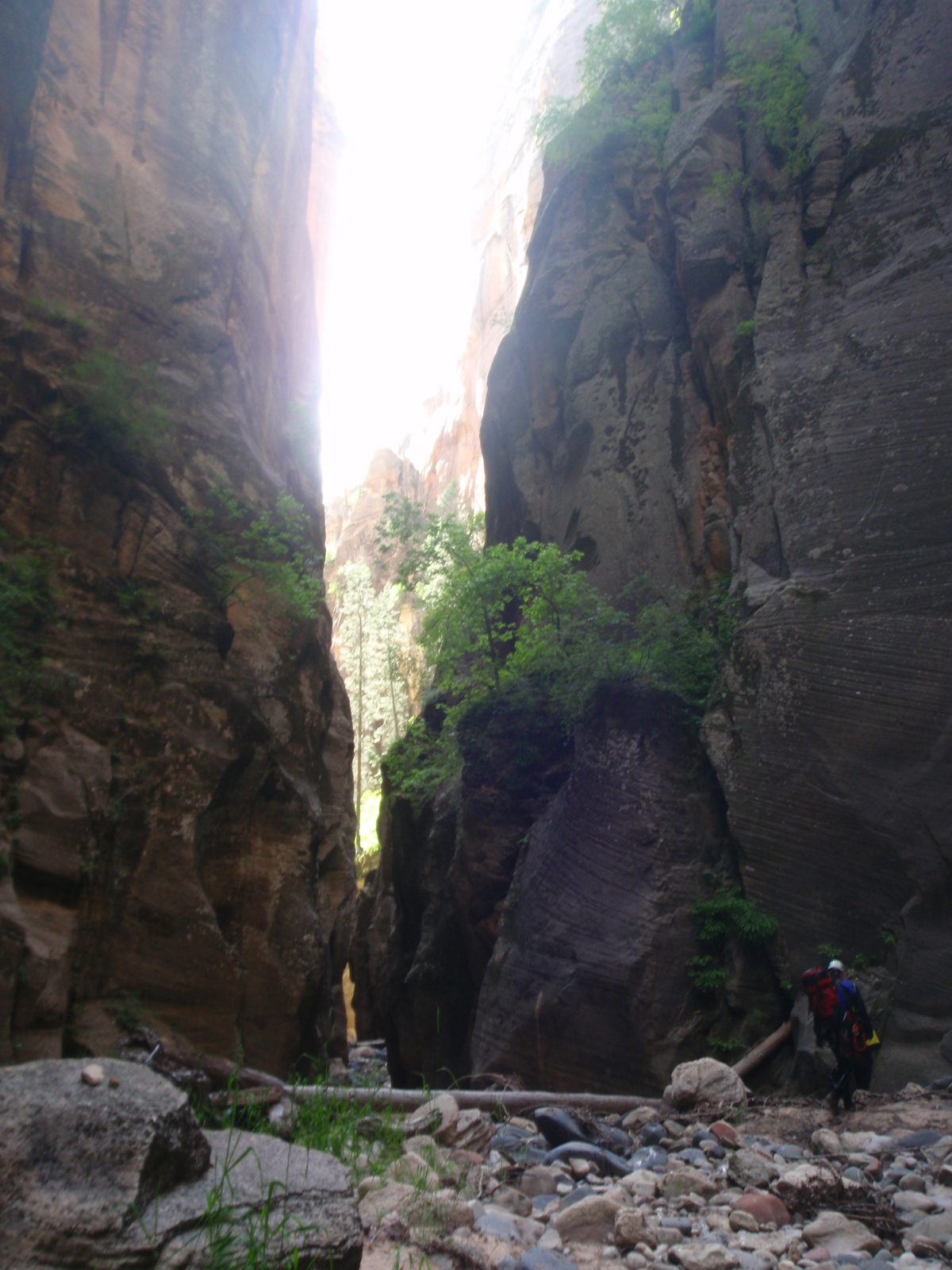 Andy and Joel walk toward another section of shady narrows.