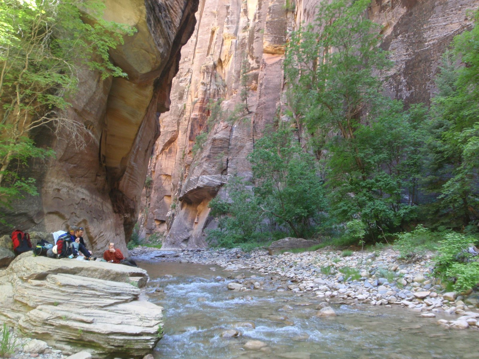 Looking upriver on the Virgin: apparently you can hike the Virgin all the way to a paved road on...