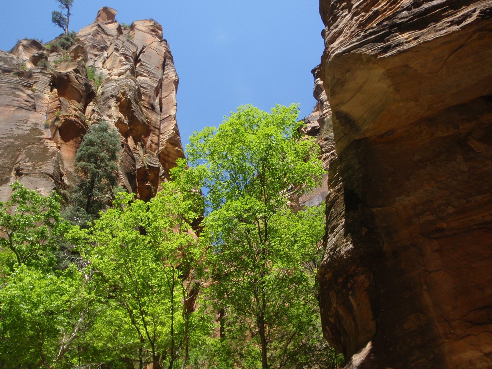 This looked like it would be a fun rock climb, if not for the 10-mile approach up a river.