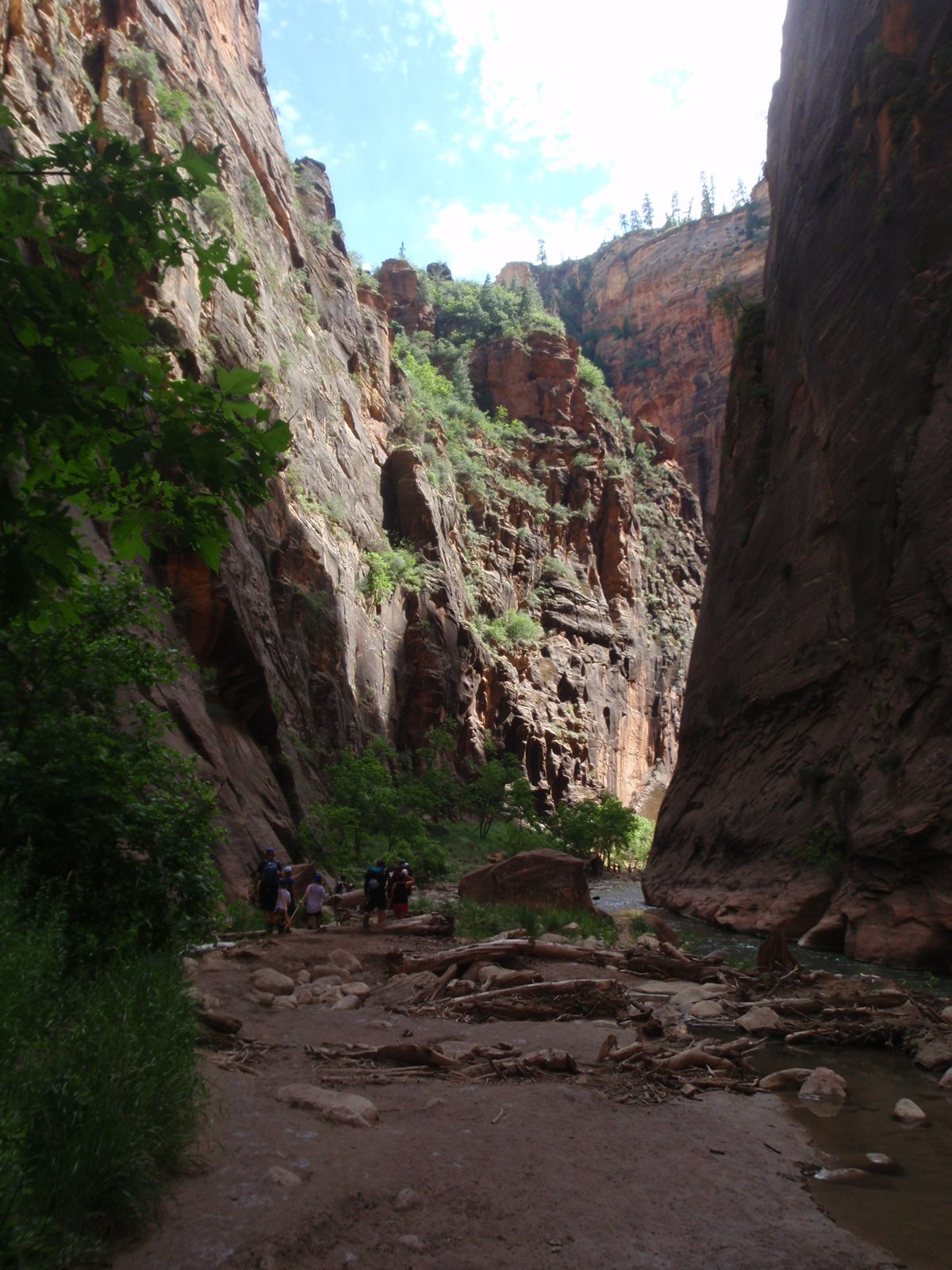 Now we start to see day hikers in droves.