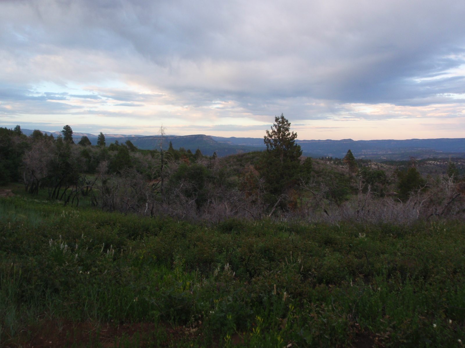 Kolob Terrace (where we had started our hike) is quite pretty and in general an undervisited...