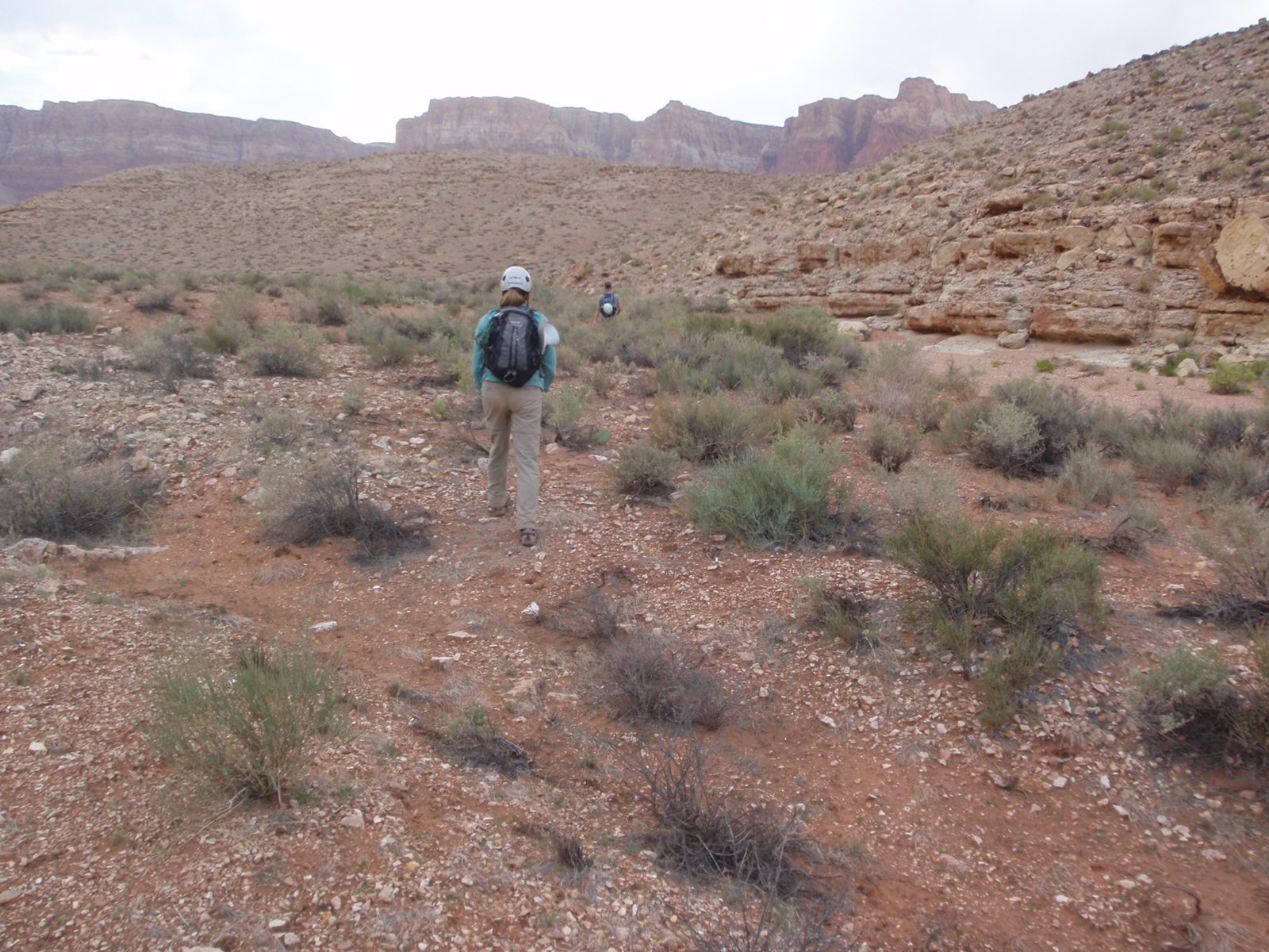 Finally back on the plateau.  We think our car is somewhere over by those cliffs.  We use Andy's...