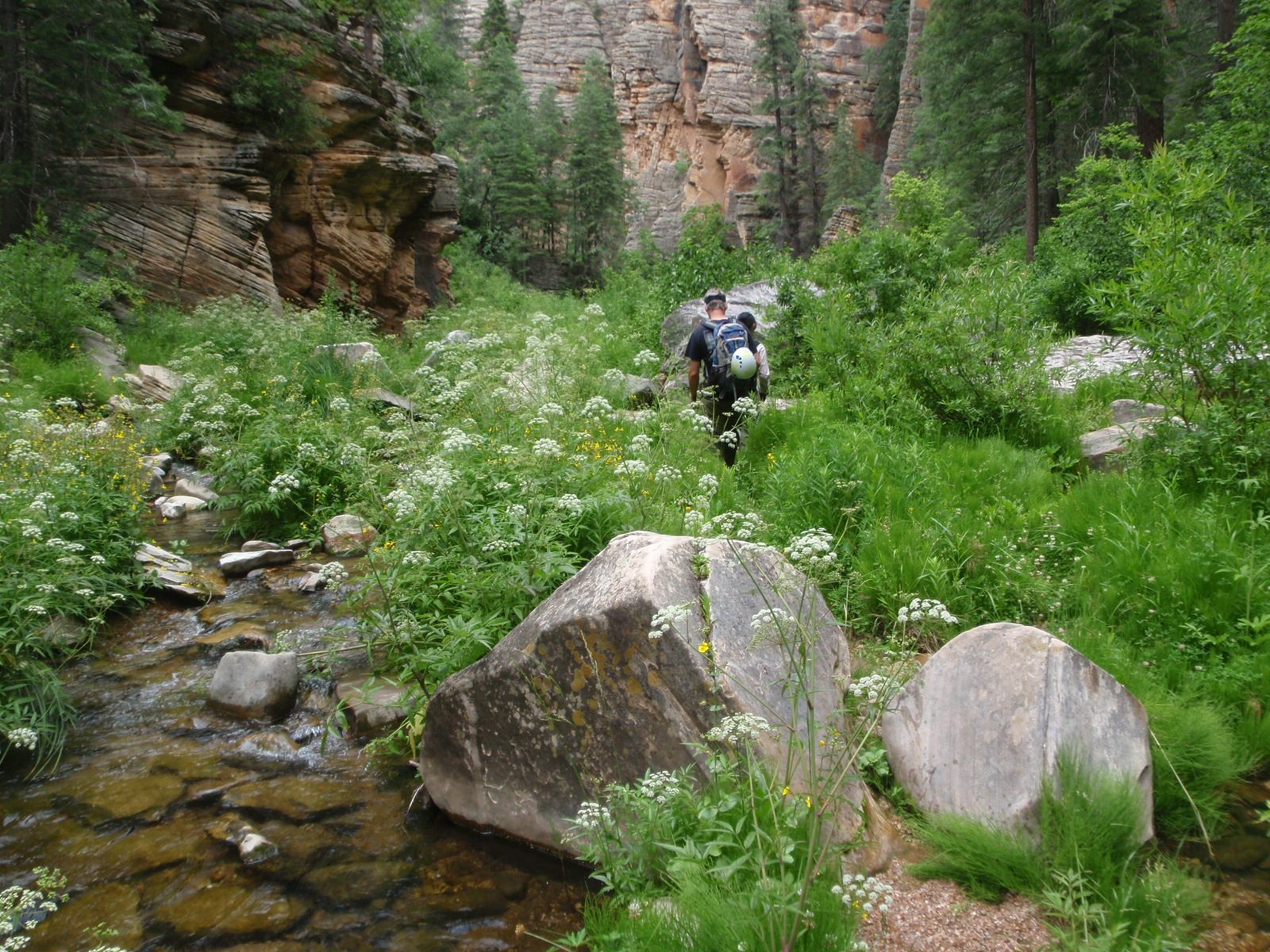 Andy and Monica hike upstream through West Clear Creek looking for our exit back to the plateau.