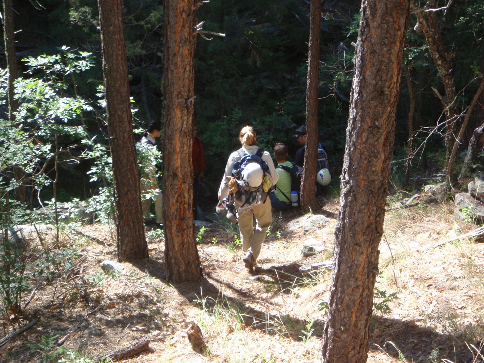 Meredith hikes down into the Sundance Canyon drainage: Monica, Joel, Mike and Andy at the bottom.