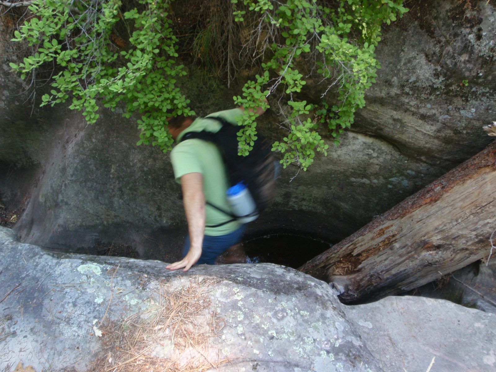 Mike, downclimbing a log in Sundance Canyon.