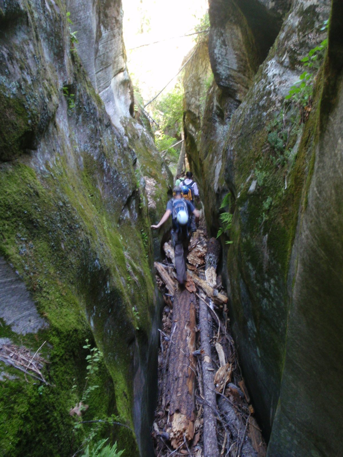 Walking on a log jam.  Andy, Monica (center) and Mike (distance) are visible.