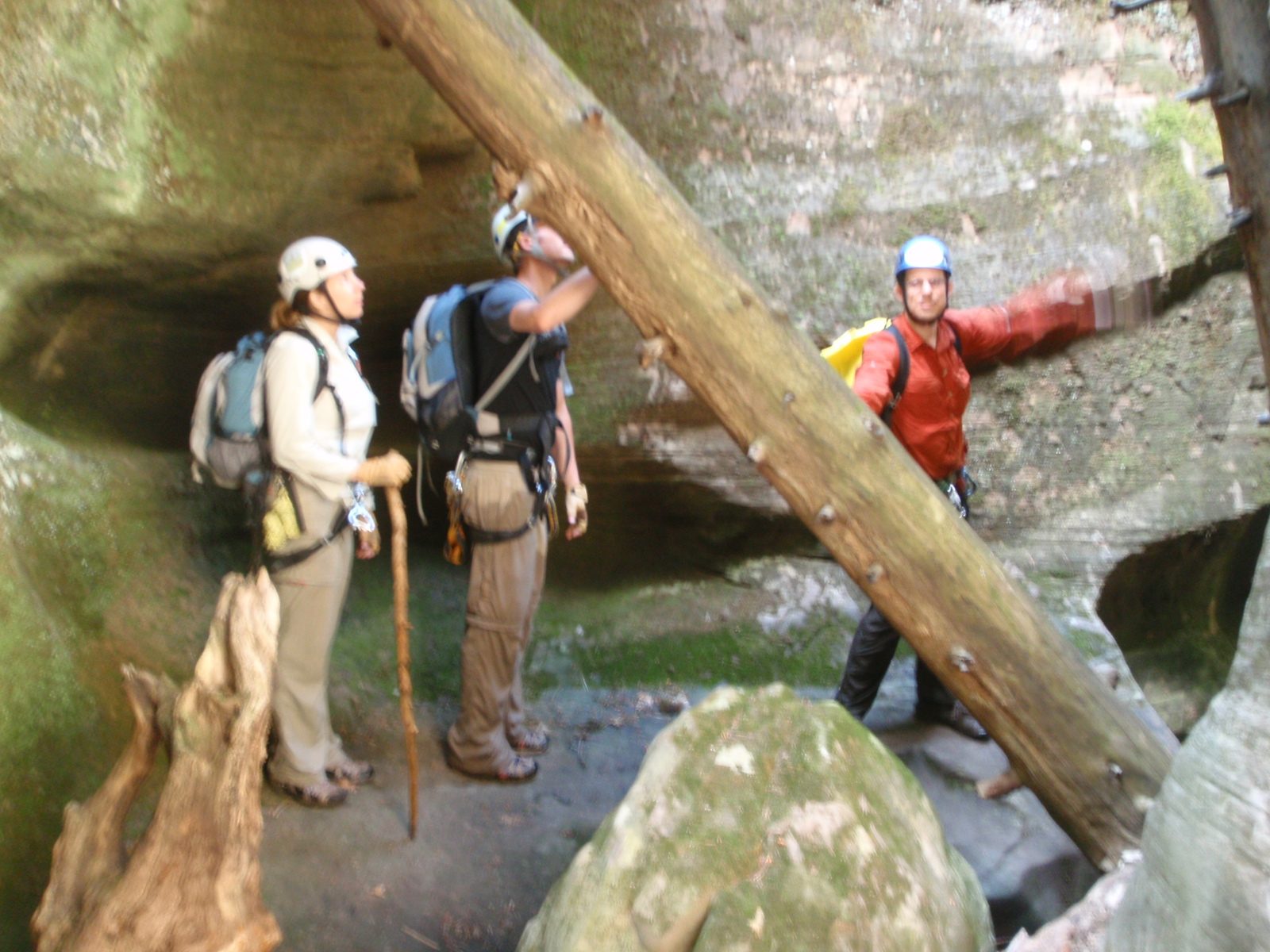 This log was so precariously balanced.  Also Meredith found a nice hiking stick in one of the...