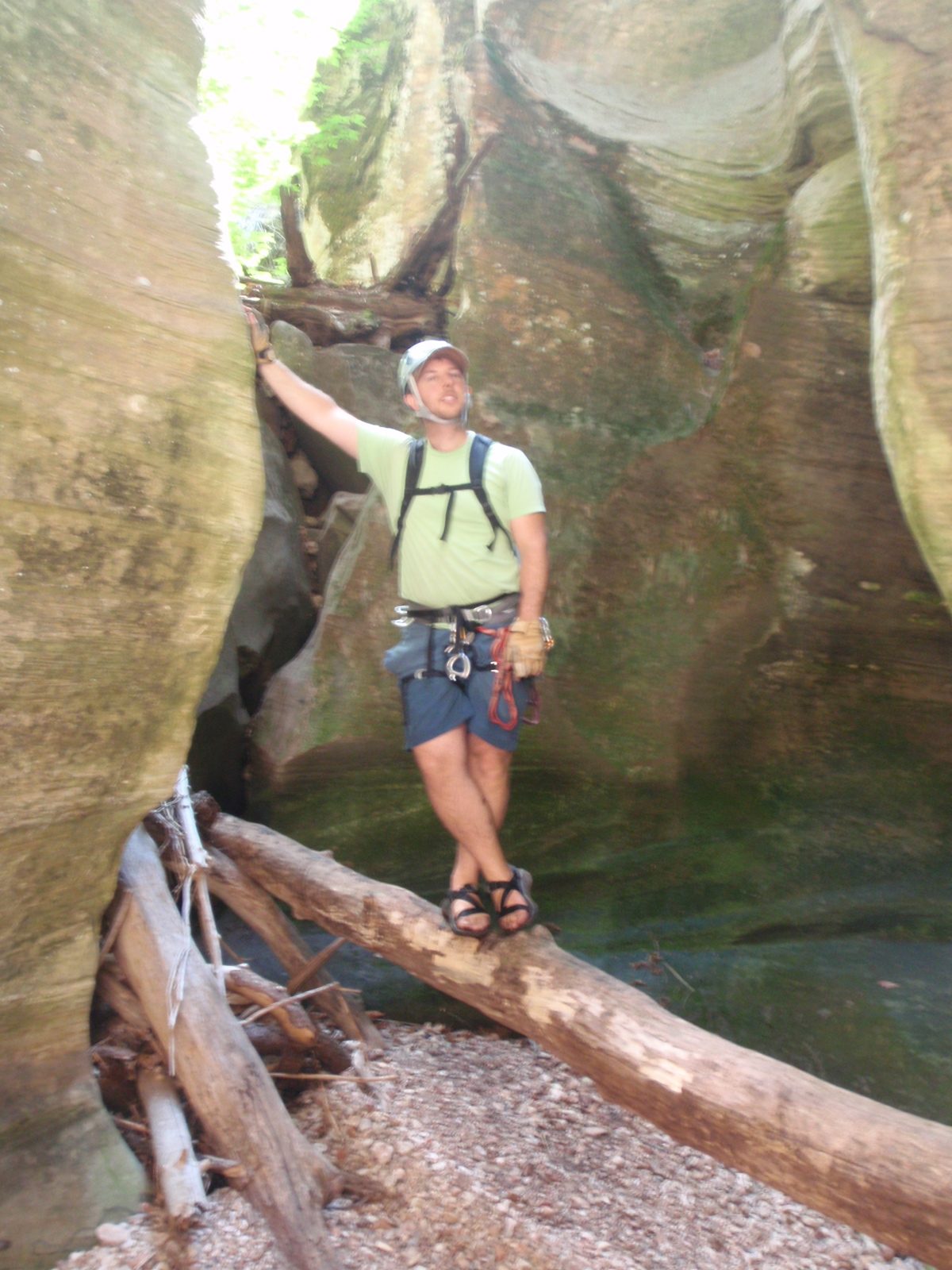 Mike, just hanging out on a log.
