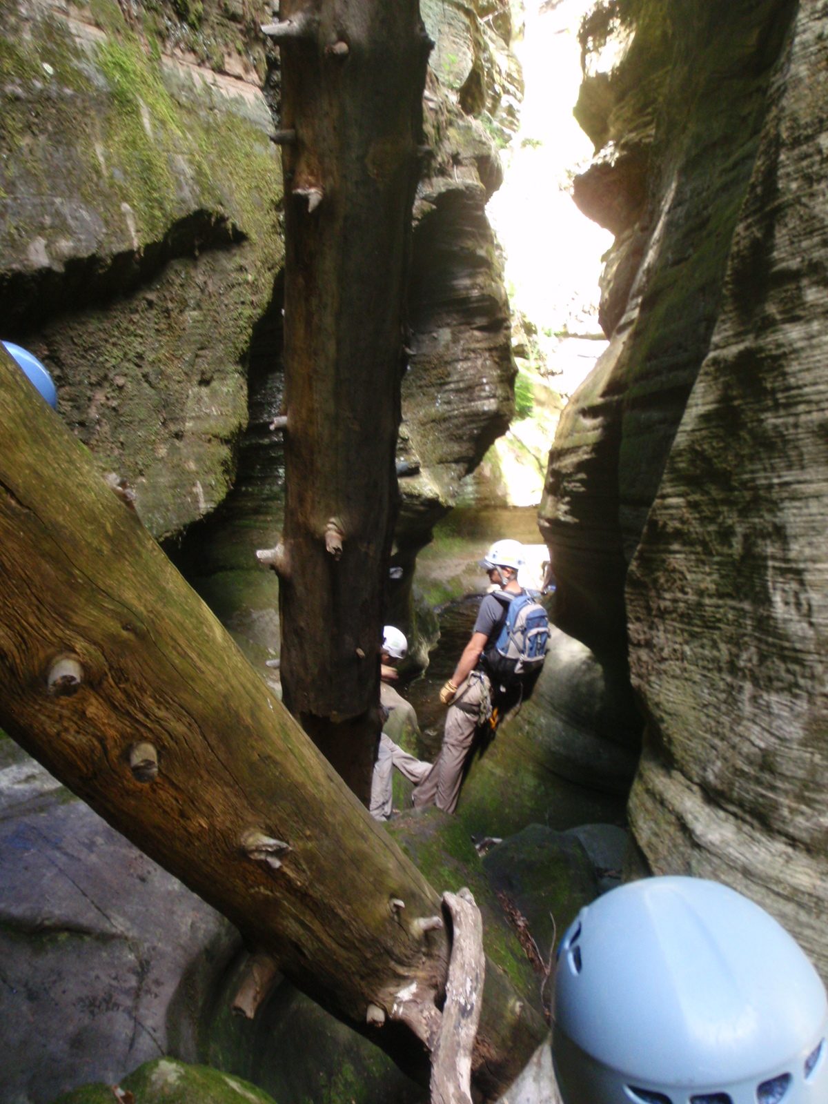 Oh, wait, this was the precariously leaning log.  
