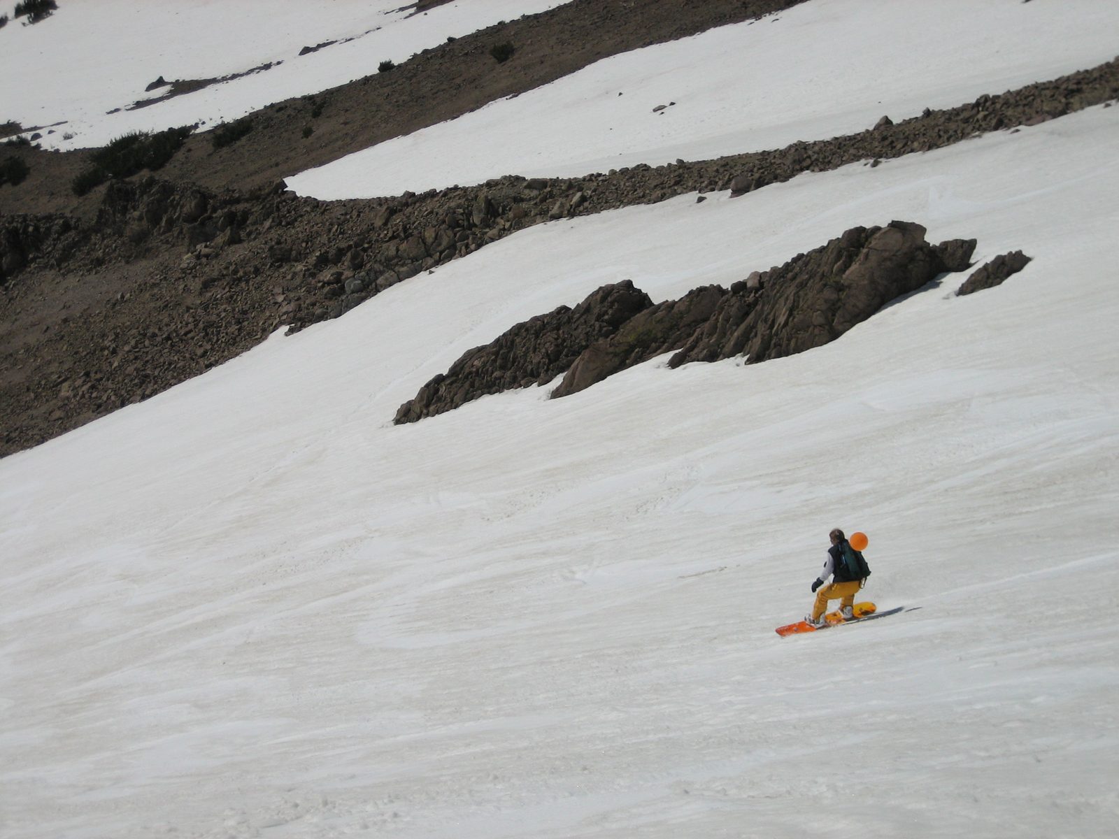 Looking for fresh corn snow.
