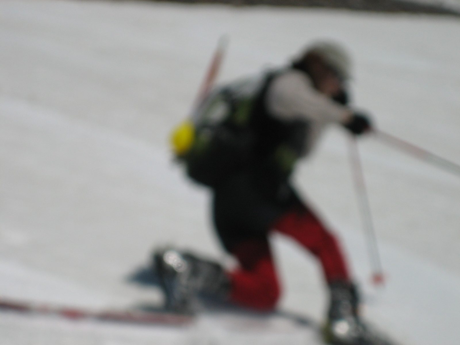 This picture would be cool had I not been far too zoomed in, thus making it super-blurry.