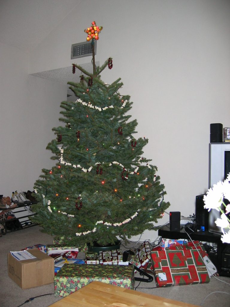 The 2005 Christmas tree, set up in John's apartment and still decked out with lights, ornaments,...
