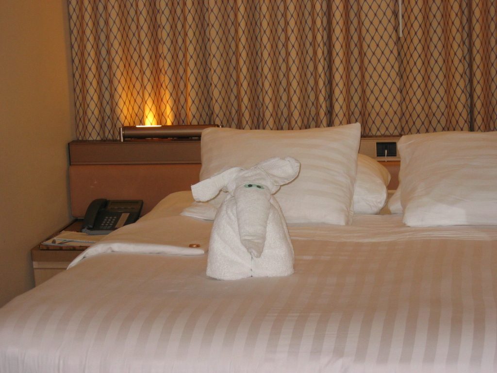 Tonight an Elephant Pillow