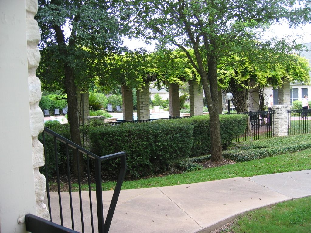 View to the left from the patio, showing the area around the swimming pool