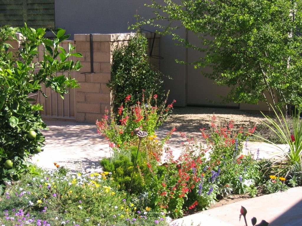 More back patio - it's quite large