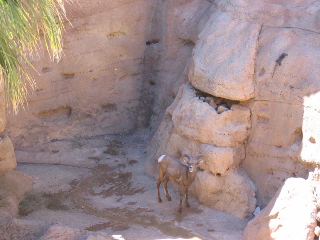 His buddy was down below having a drink