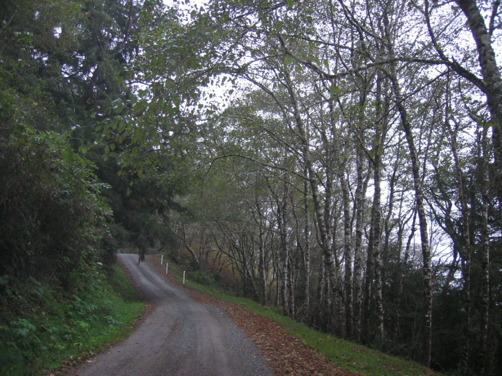A trip down "Klamath Beach Road" ... the Pacific to the right, a cliff to the left, and not much...