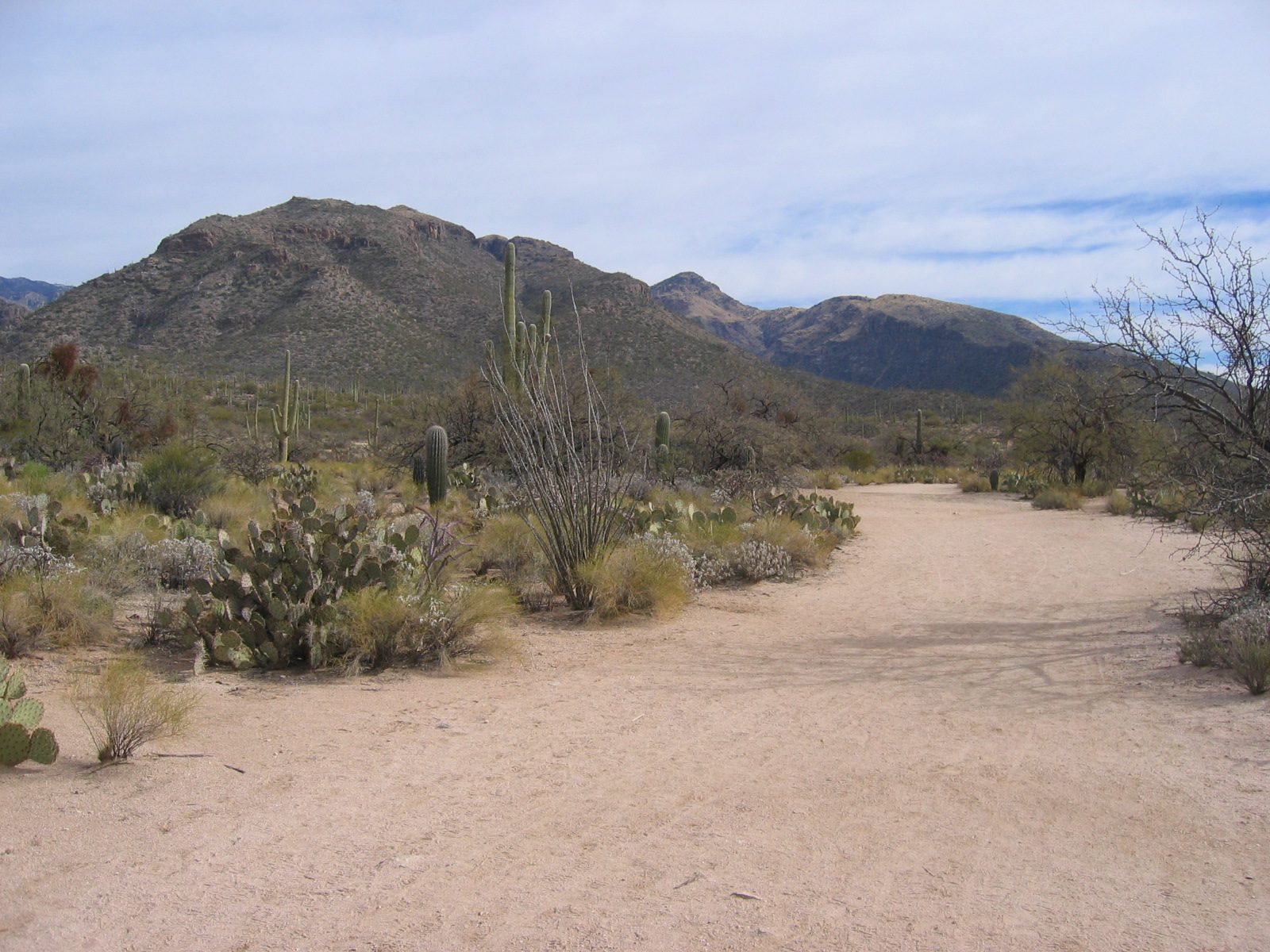 Not exactly the less traveled road