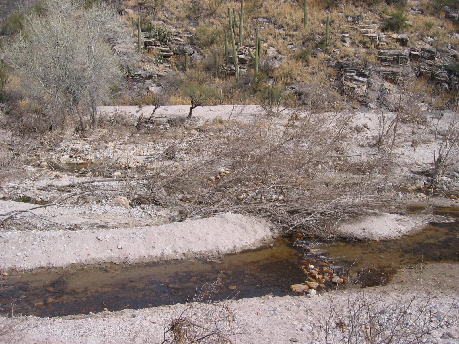 Outflow from the dam ... with a little of the "wash" visible which is filled when the river is...