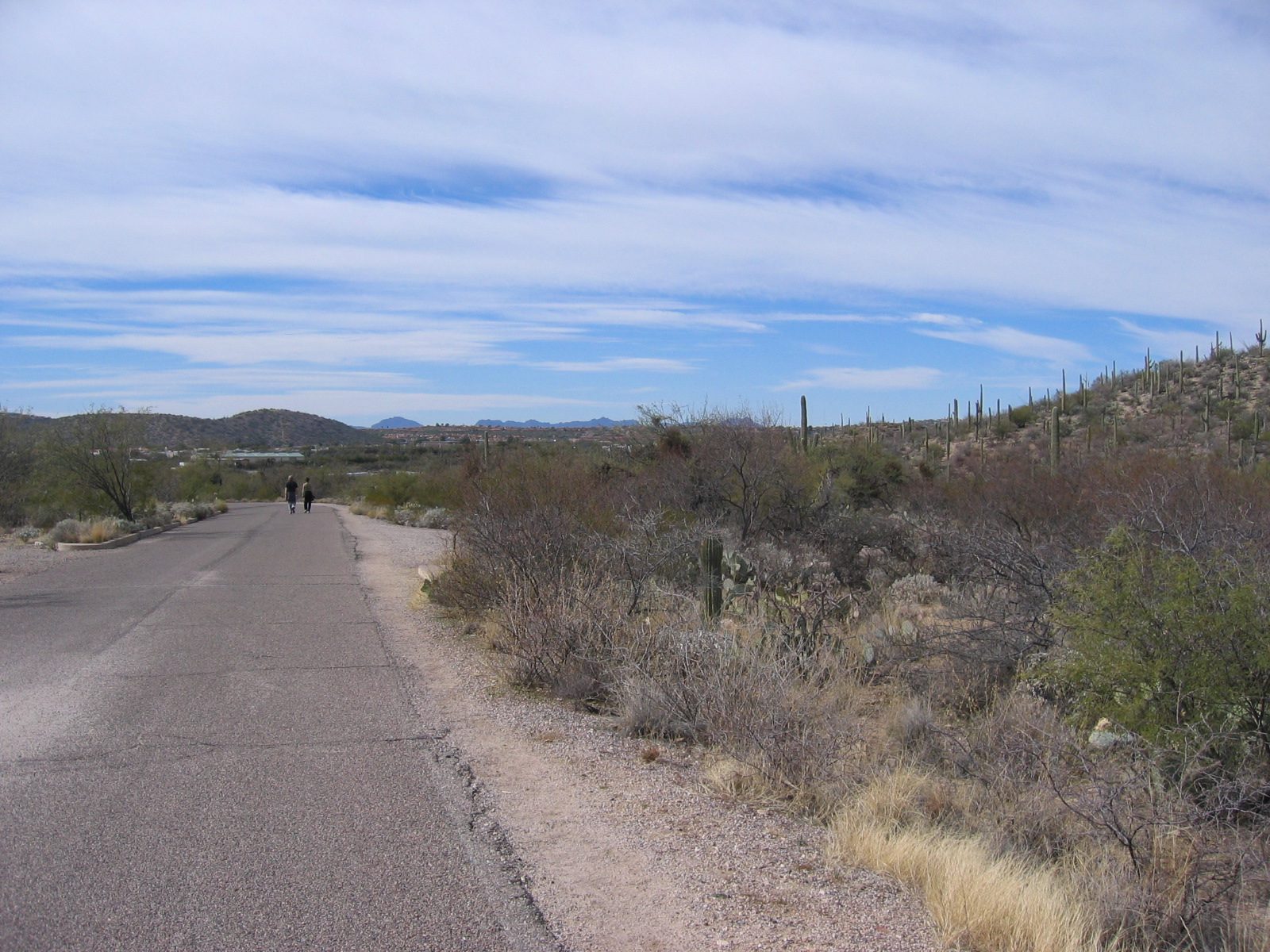 Including downtown Tucson in the far distance