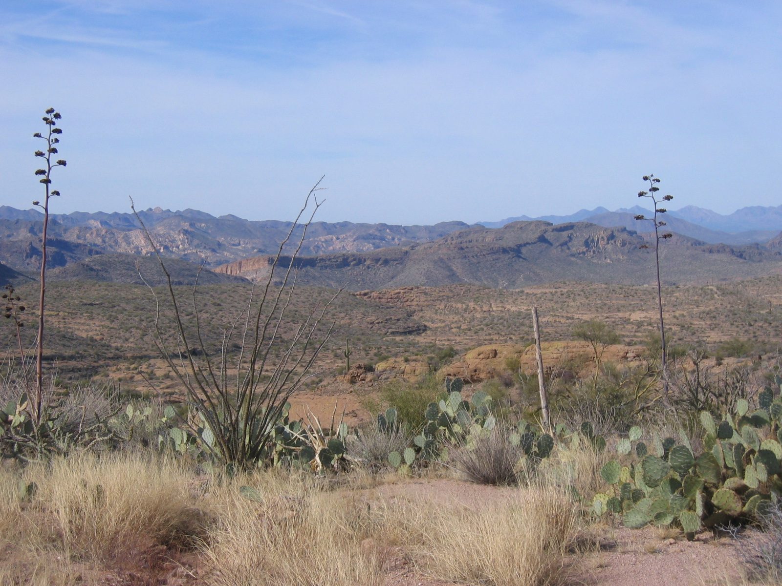 Trying to capture the majesty of the mountain ranges ... we are on a high mesa in really rugged country