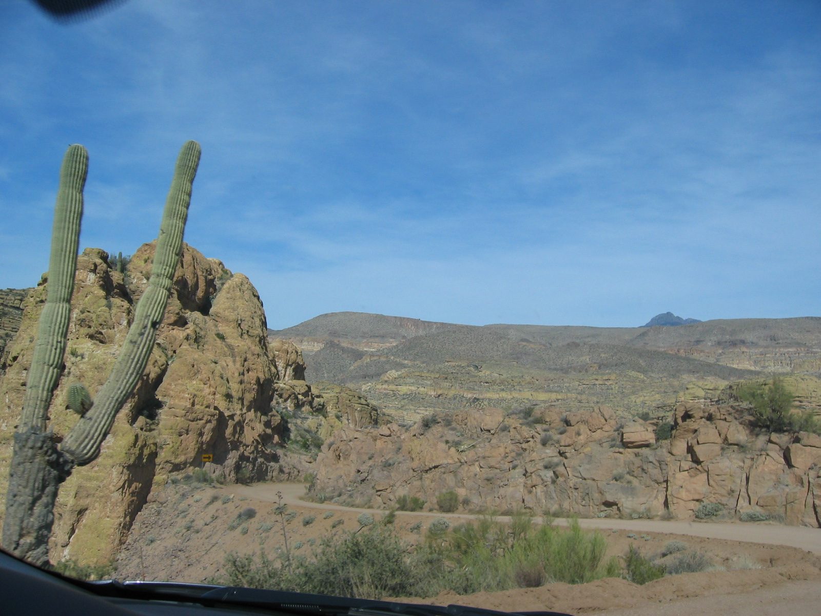 Some more idea of the terrain which was studded with Saguaro cactus