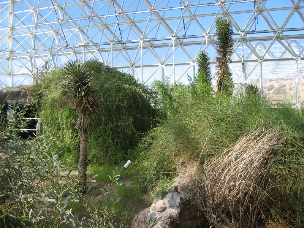 Far end which represented one of the biomes - the coastal desert