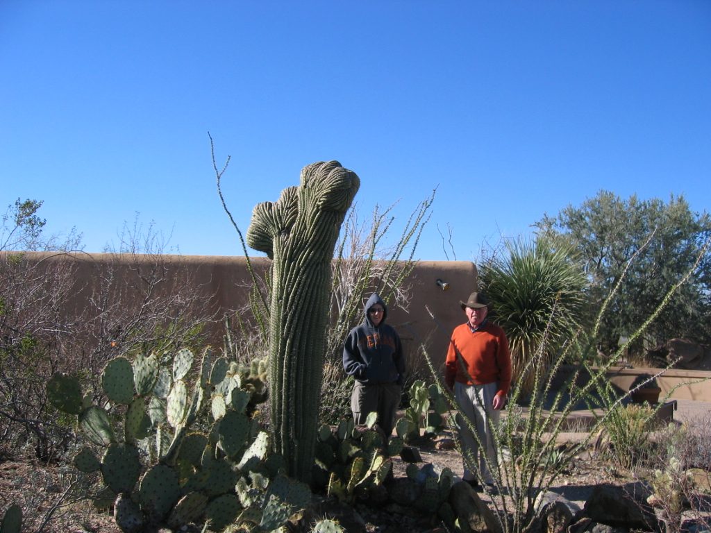 Another crenelated saguaro at the entrance to the AZDM .... Peter and Yoda