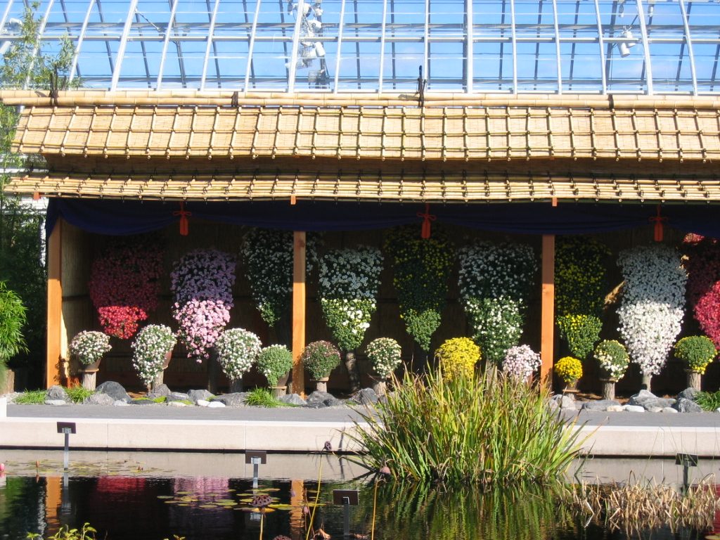 The courtyard has two enormous water lily ponds in the center.
