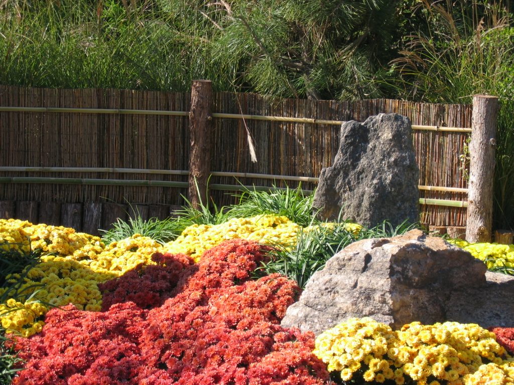 One more view of this area