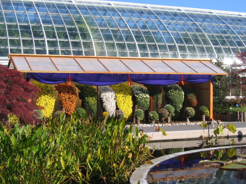The pavillion of cascading kiku with one of the lily pond corners.