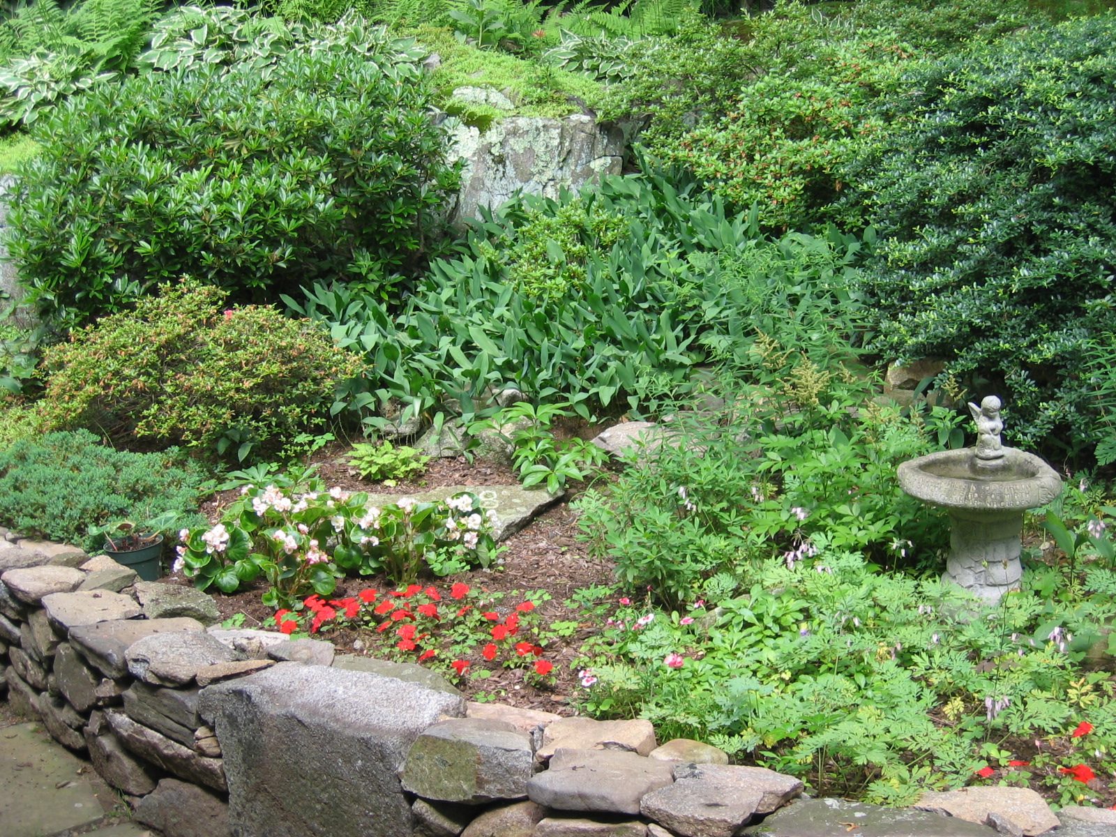 Pinkish white tuberous begonias and Impatiens and new rock wall