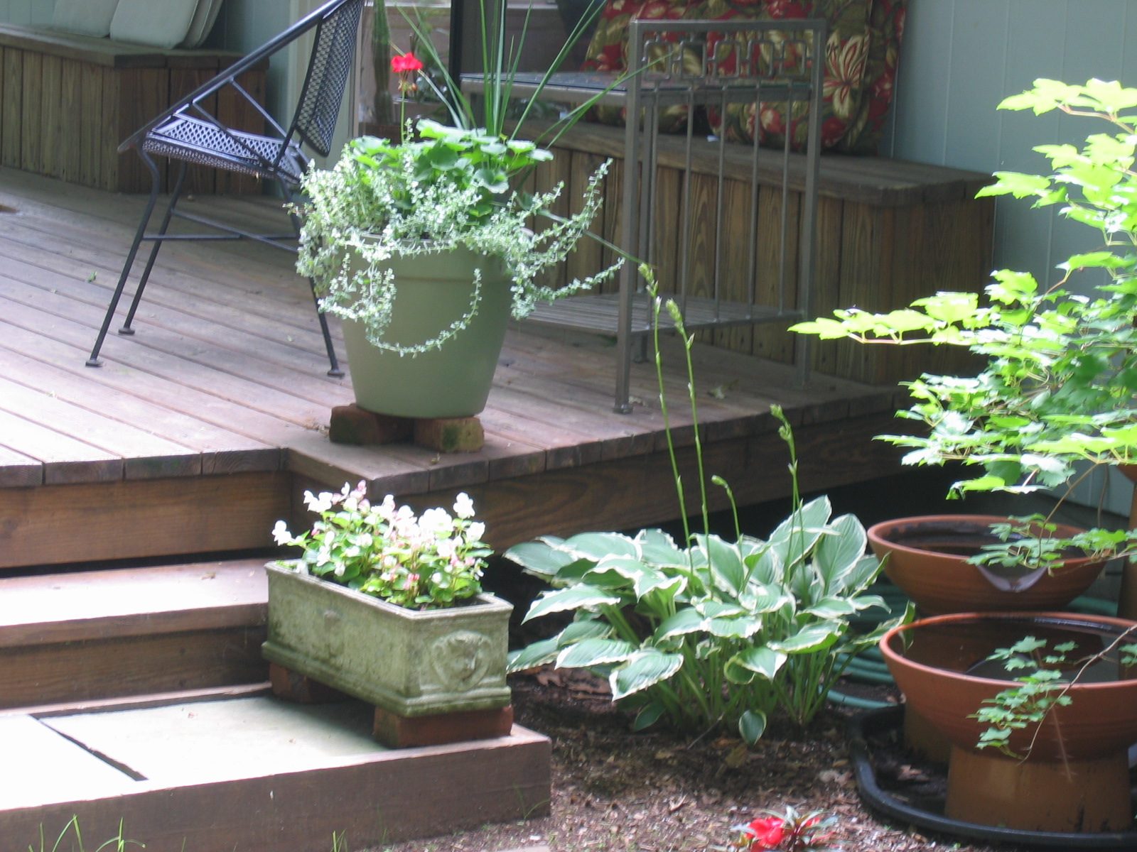 Two of about ten planters.  Low one on steps was gift from Uncle Phil, now filled with seed begonias