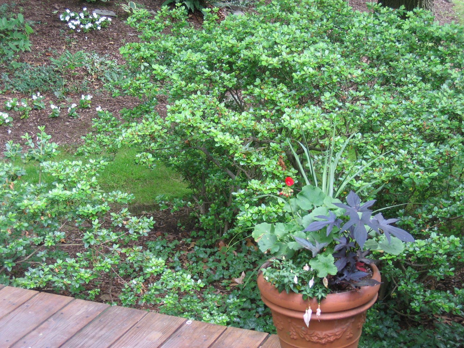 Another deck planter