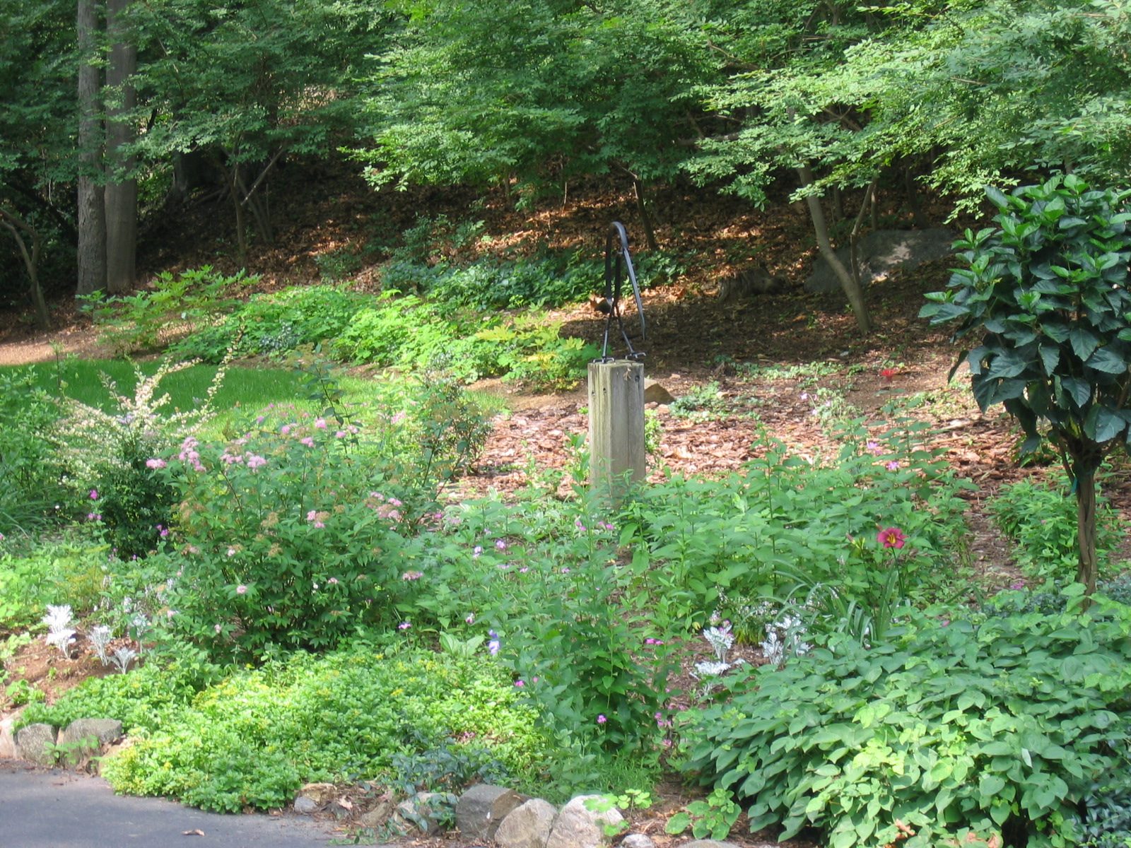 The rest of the 'flag garden' with the toucan.