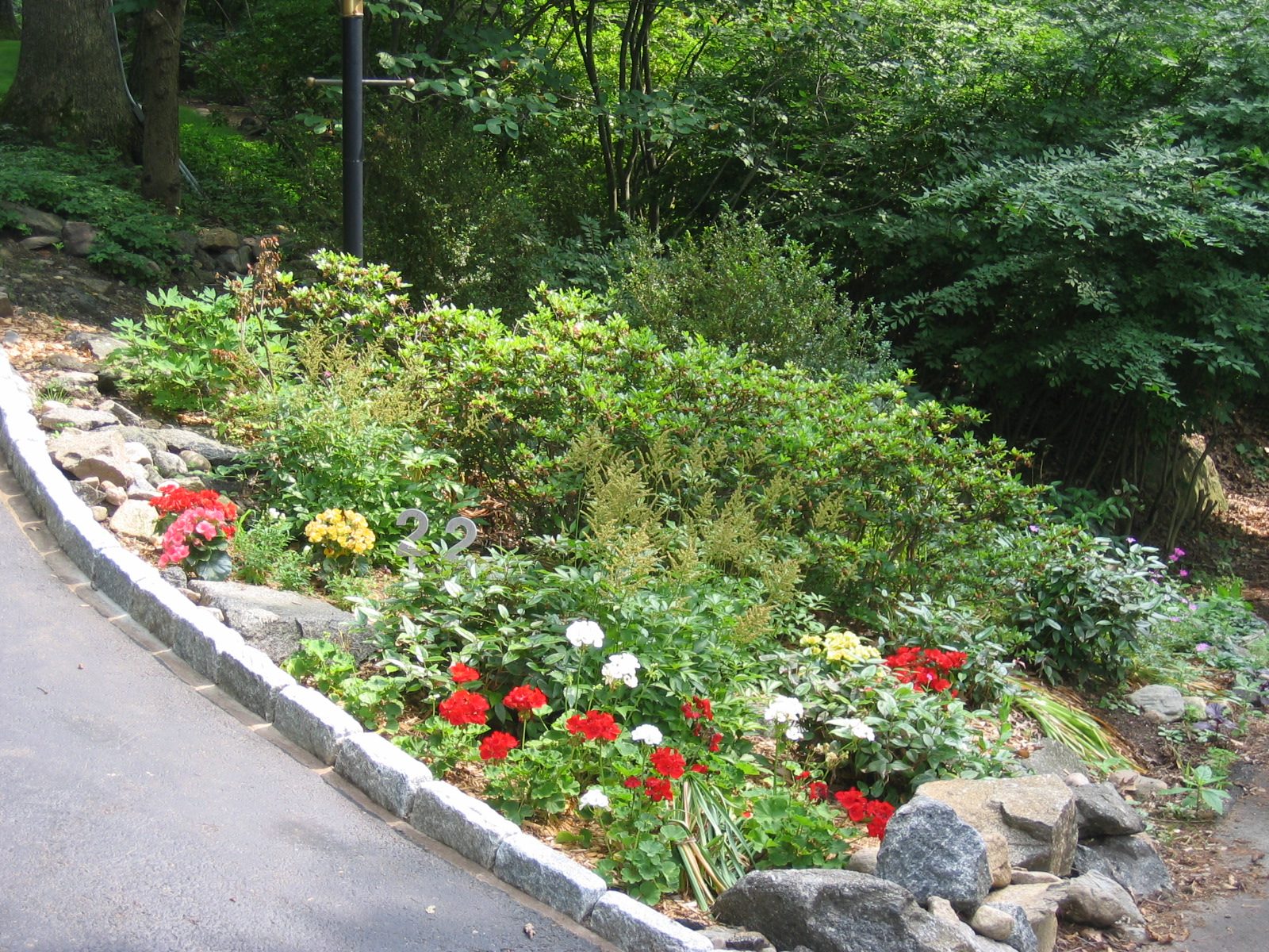 Base of the driveway on the right is looking great.  Geraniums and more begonias