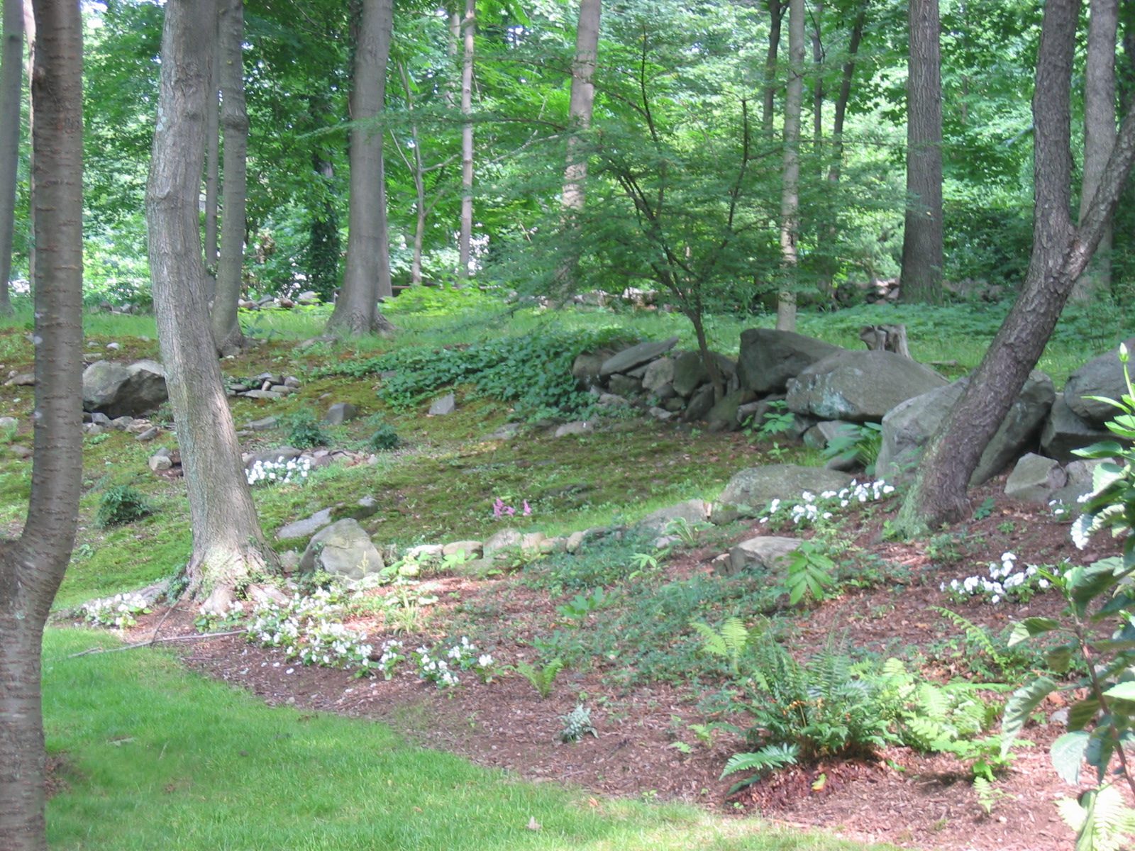 The view from the back deck