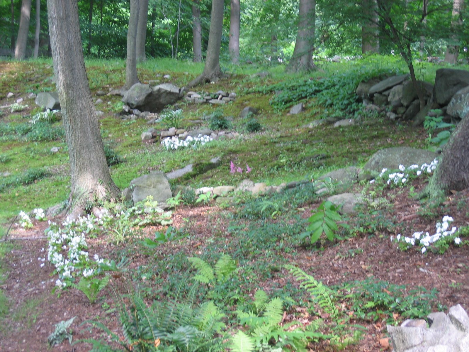 Combo view of the moss garden and the view from the deck