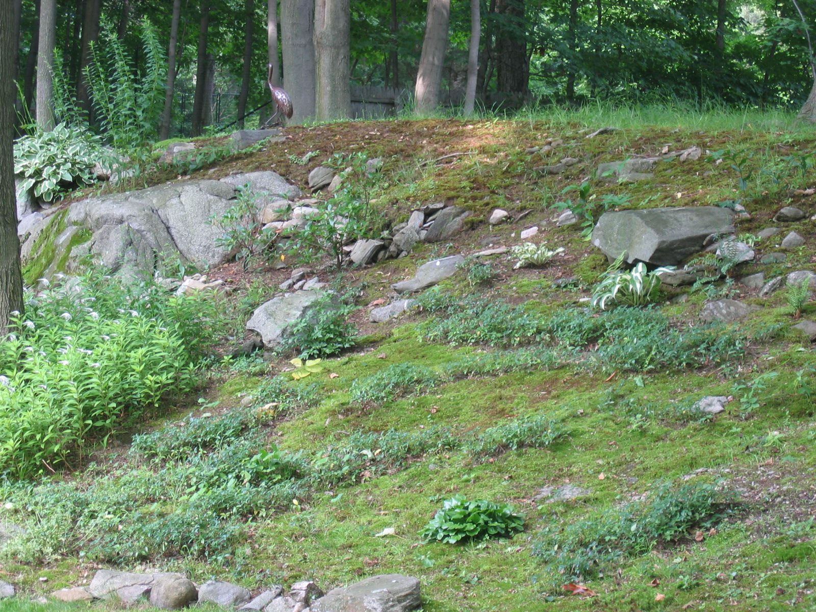 Closer view of the moss