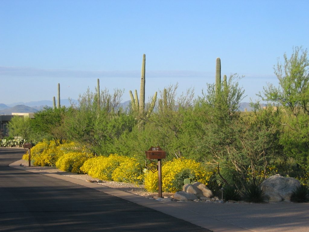 Glimpses of the Tucson mountains to the south and west.  Between here and there is the city of Tucson.