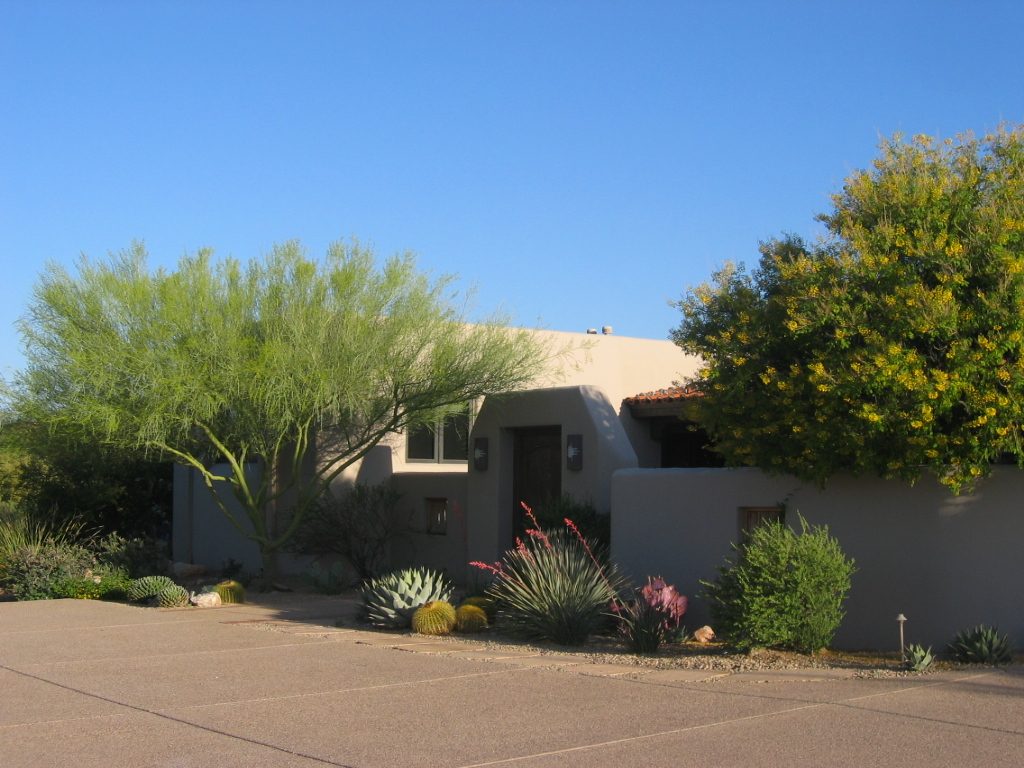 The courtyard gate in shadow, and the Palo Verde to the left before it fully set its blooms. ...