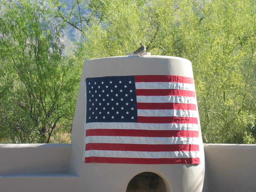 That's not an American Eagle ... just an AZ dove atop the kiva fire place adorned with American...